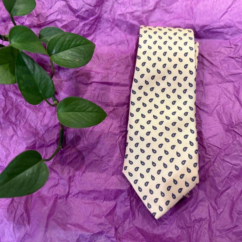 College Hall Classy 100% Silk Tie with Paisley Pattern
